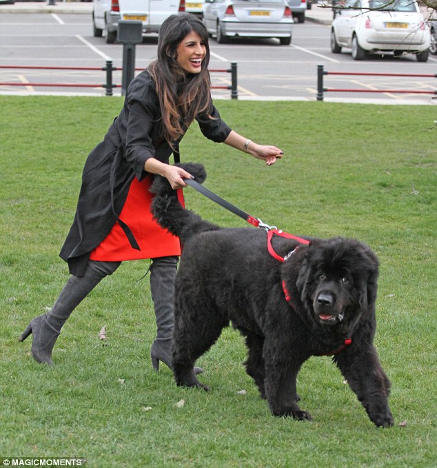 Big dog